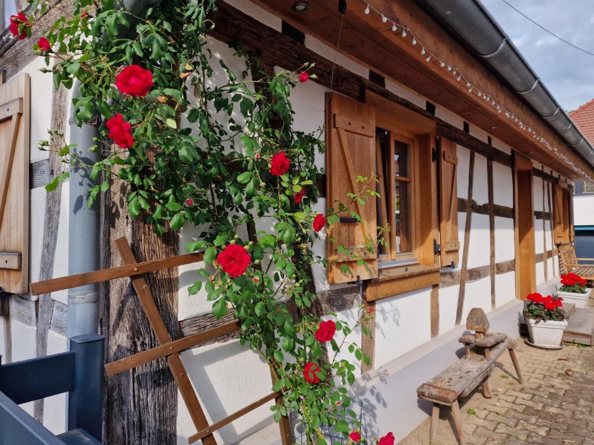 Une Maison A Colombages - Cosy, Lumineuse Et Sauna Kesseldorf Экстерьер фото